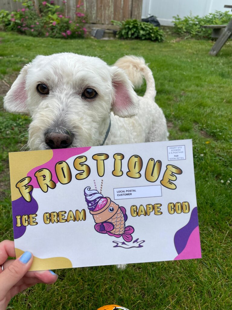 WhatsApp Image 2025-09-23 at 9.52.05 PM (6)